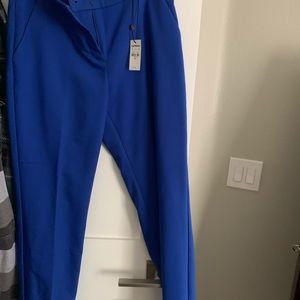 Blue Express Columnist 6r pants
